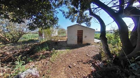 QUINTA RURAL T4 COM FURO - NORA - PRÓXIMO DA PRAIA EM CABANAS DE TAVIRA - ALGARVE