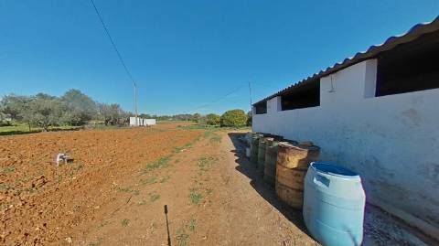 QUINTA RURAL T4 COM FURO - NORA - PRÓXIMO DA PRAIA EM CABANAS DE TAVIRA - ALGARVE