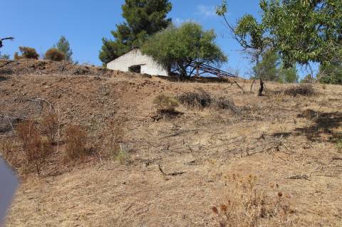 TERRENO COM 113.000 M2 - COM ÁGUA - ELETRICIDADE - ESTUFAS - PARA CONSTRUÇÃO - HABITAÇÃO E TURISMO - EM ODELEITE - CASTRO MARIM - ALGARVE