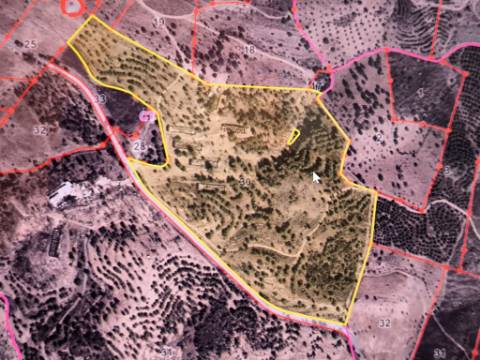 TERRENO COM 113.000 M2 - COM ÁGUA - ELETRICIDADE - ESTUFAS - PARA CONSTRUÇÃO - HABITAÇÃO E TURISMO - EM ODELEITE - CASTRO MARIM - ALGARVE