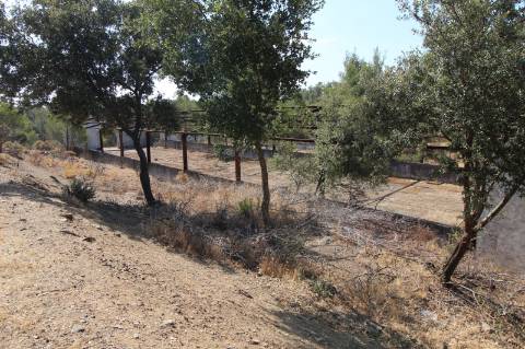 TERRENO COM 113.000 M2 - COM ÁGUA - ELETRICIDADE - ESTUFAS - PARA CONSTRUÇÃO - HABITAÇÃO E TURISMO - EM ODELEITE - CASTRO MARIM - ALGARVE