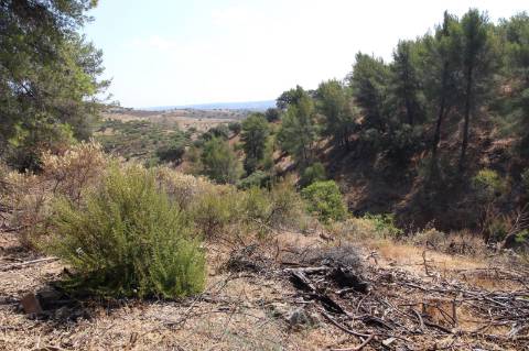 TERRENO COM 113.000 M2 - COM ÁGUA - ELETRICIDADE - ESTUFAS - PARA CONSTRUÇÃO - HABITAÇÃO E TURISMO - EM ODELEITE - CASTRO MARIM - ALGARVE