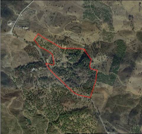 TERRENO COM 113.000 M2 - COM ÁGUA - ELETRICIDADE - ESTUFAS - PARA CONSTRUÇÃO - HABITAÇÃO E TURISMO - EM ODELEITE - CASTRO MARIM - ALGARVE