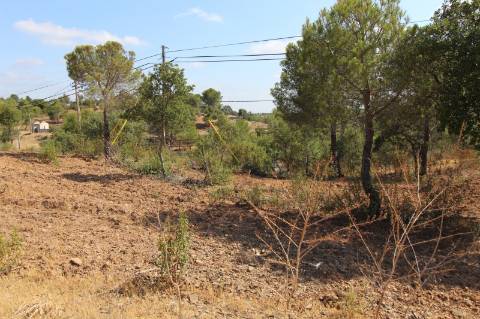 TERRENO COM 113.000 M2 - COM ÁGUA - ELETRICIDADE - ESTUFAS - PARA CONSTRUÇÃO - HABITAÇÃO E TURISMO - EM ODELEITE - CASTRO MARIM - ALGARVE