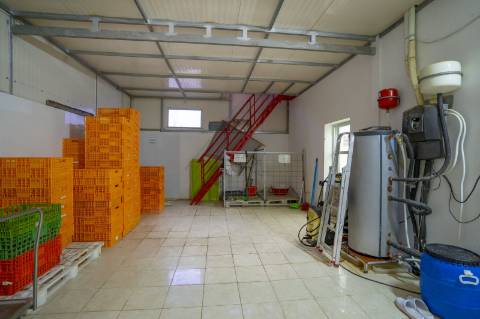 Fabrica e salão de Festas em Vila Real de António