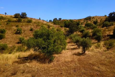 TERRENO MISTO COM 1.200 M2 ÁREA URBANA E 12.7 HECTARES DE TERRENO COM LAGO PRIVADO EM BOTELHAS - CASTRO MARIM