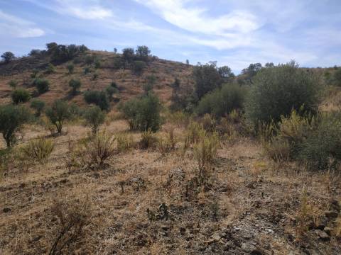 TERRENO MISTO COM 1.200 M2 ÁREA URBANA E 12.7 HECTARES DE TERRENO COM LAGO PRIVADO EM BOTELHAS - CASTRO MARIM