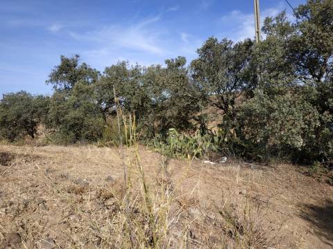 TERRENO MISTO COM 1.200 M2 ÁREA URBANA E 12.7 HECTARES DE TERRENO COM LAGO PRIVADO EM BOTELHAS - CASTRO MARIM