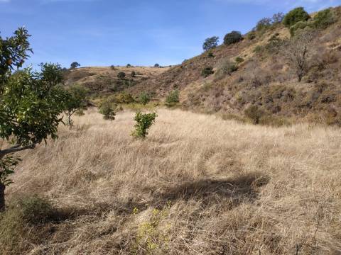 TERRENO MISTO COM 1.200 M2 ÁREA URBANA E 12.7 HECTARES DE TERRENO COM LAGO PRIVADO EM BOTELHAS - CASTRO MARIM