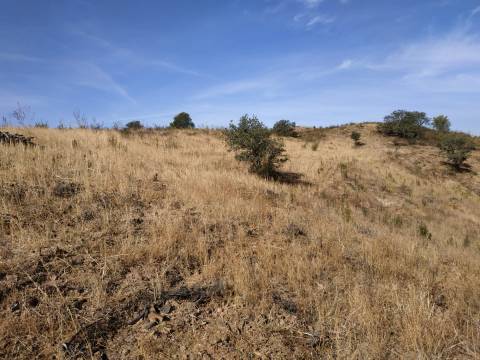 TERRENO MISTO COM 1.200 M2 ÁREA URBANA E 12.7 HECTARES DE TERRENO COM LAGO PRIVADO EM BOTELHAS - CASTRO MARIM