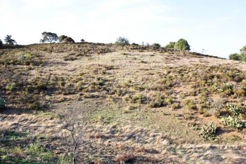 QUINTA - COM 36.720 M2 - MONTE ALGARVIO PRÓXIMO DA JUNQUEIRA - TURISMO RURAL - CASTRO MARIM - ALGARVE