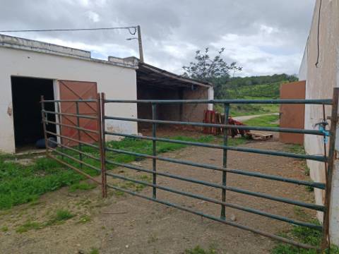 QUINTA - COM 36.720 M2 - MONTE ALGARVIO PRÓXIMO DA JUNQUEIRA - TURISMO RURAL - CASTRO MARIM - ALGARVE