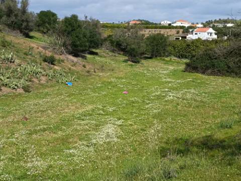 QUINTA - COM 36.720 M2 - MONTE ALGARVIO PRÓXIMO DA JUNQUEIRA - TURISMO RURAL - CASTRO MARIM - ALGARVE