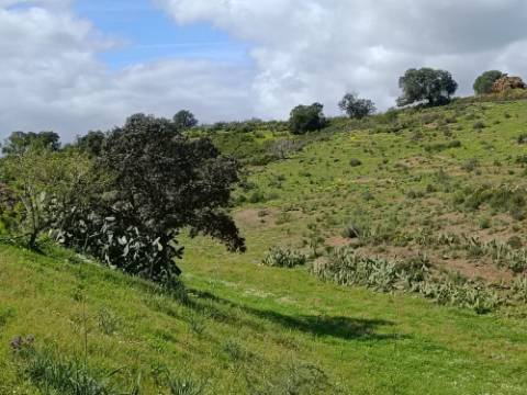 QUINTA - COM 36.720 M2 - MONTE ALGARVIO PRÓXIMO DA JUNQUEIRA - TURISMO RURAL - CASTRO MARIM - ALGARVE