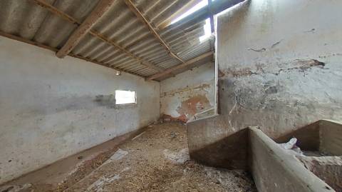 QUINTA - COM 36.720 M2 - MONTE ALGARVIO PRÓXIMO DA JUNQUEIRA - TURISMO RURAL - CASTRO MARIM - ALGARVE