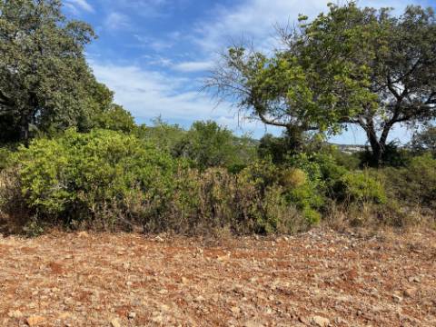 Oportunidade de Ouro em São Brás de Alportel : Terreno de 6,1 Hectares para Construção de Hotel de Turismo Rural