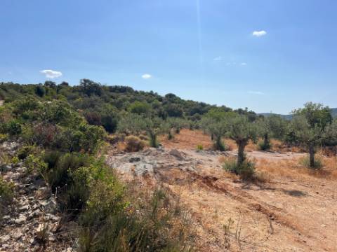 Oportunidade de Ouro em São Brás de Alportel : Terreno de 6,1 Hectares para Construção de Hotel de Turismo Rural