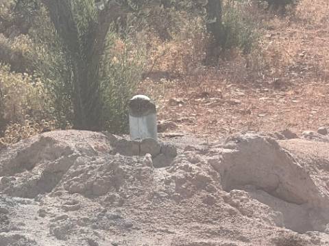 Oportunidade de Ouro em São Brás de Alportel : Terreno de 6,1 Hectares para Construção de Hotel de Turismo Rural