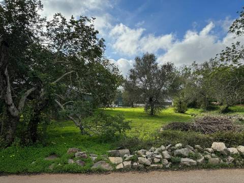 Terreno Urbano para Construção em São Brás de Alportel - Zona dos Machados
