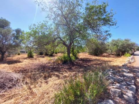 Terreno Urbano para Construção em São Brás de Alportel - Zona dos Machados