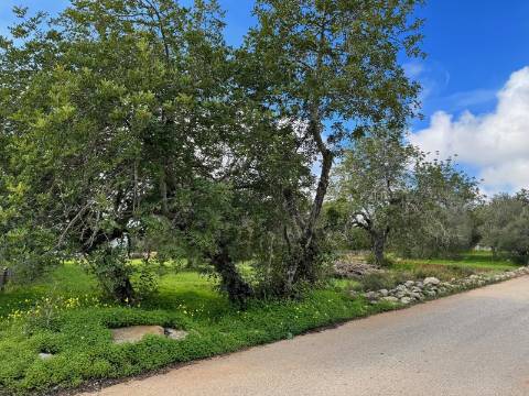 Terreno Urbano para Construção em São Brás de Alportel - Zona dos Machados