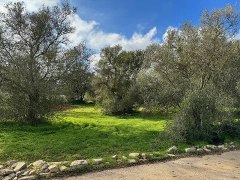 Terreno Urbano para Construção em São Brás de Alportel - Zona dos Machados