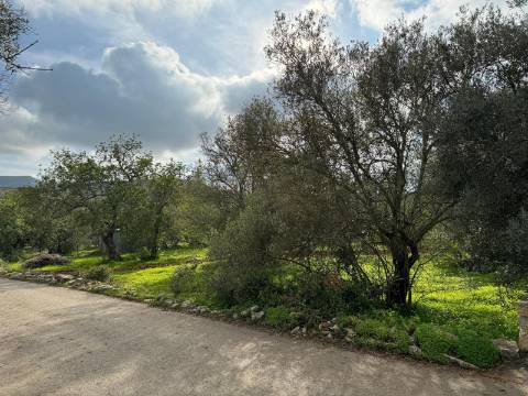 Terreno Urbano para Construção em São Brás de Alportel - Zona dos Machados