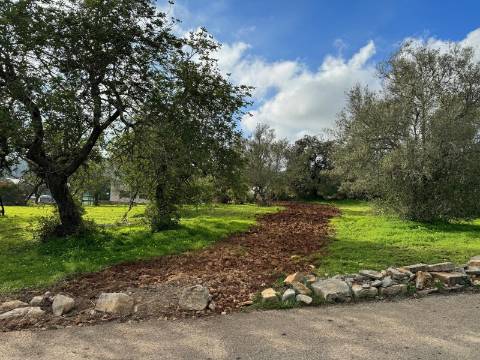 Terreno Urbano para Construção em São Brás de Alportel - Zona dos Machados