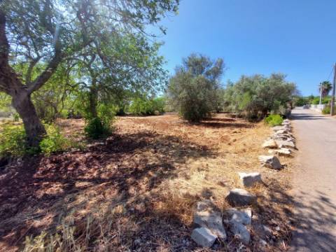 Terreno Urbano para Construção em São Brás de Alportel - Zona dos Machados