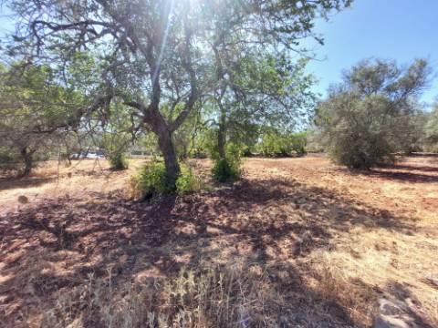 Terreno Urbano para Construção em São Brás de Alportel - Zona dos Machados