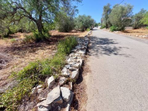 Terreno Urbano para Construção em São Brás de Alportel - Zona dos Machados