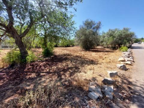 Terreno Urbano para Construção em São Brás de Alportel - Zona dos Machados