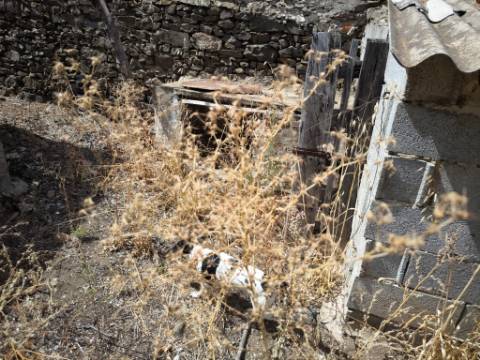 MORADIA T3 COM 320 M2 DE TERRENO E COM ANEXO - POÇO E FURO - CORTE NOVA - CASTRO MARIM - ALGARVE