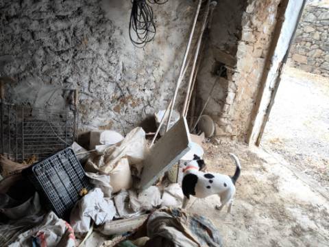 MORADIA T3 COM 320 M2 DE TERRENO E COM ANEXO - POÇO E FURO - CORTE NOVA - CASTRO MARIM - ALGARVE