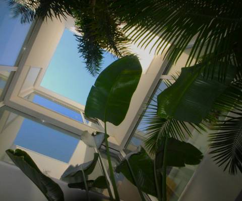 Moradia V4 com Piscina em Tavira