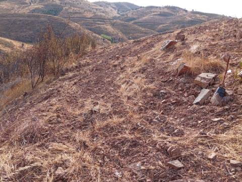 Terreno Rustico com água na serra da Conceição de Tavira