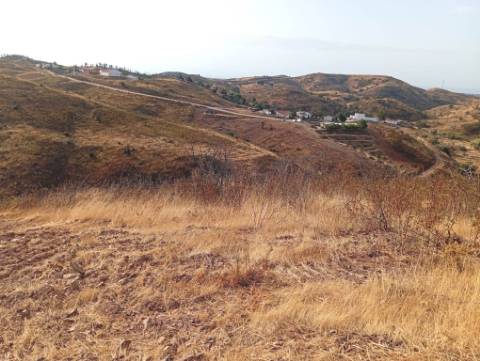 Terreno Rustico com água na serra da Conceição de Tavira