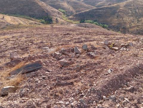 Terreno Rustico com água na serra da Conceição de Tavira