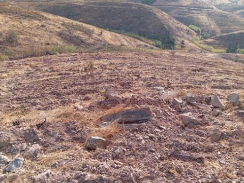 Terreno Rustico com água na serra da Conceição de Tavira