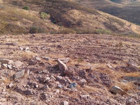 Terreno Rustico com água na serra da Conceição de Tavira