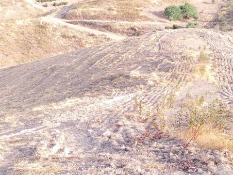 Terreno Rustico com água na serra da Conceição de Tavira