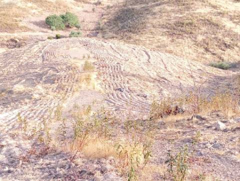 Terreno Rustico com água na serra da Conceição de Tavira