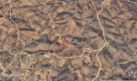 Terreno Rustico com água na serra da Conceição de Tavira