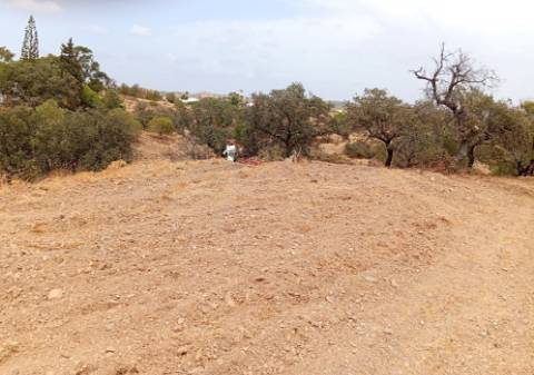 Terreno Rustico com água na zona da Corte António Martins