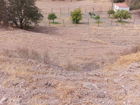 Terreno Rustico com água na zona da Corte António Martins