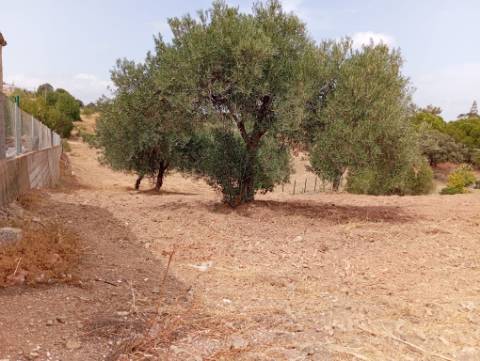 Terreno Rustico com água na zona da Corte António Martins