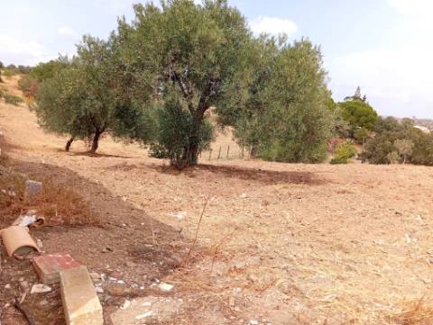 Terreno Rustico com água na zona da Corte António Martins