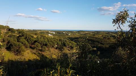 TERRENO MISTO COM 71.000 M2 - COM RUINA - POÇO - LAGO - VISTA MAR - POSSIBILIDADE DE CONSTRUÇÃO - HABITAÇÃO E/OU TURISMO - CHAMPANA - TAVIRA - ALGARVE
