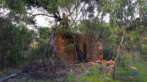 TERRENO MISTO COM 71.000 M2 - COM RUINA - POÇO - LAGO - VISTA MAR - POSSIBILIDADE DE CONSTRUÇÃO - HABITAÇÃO E/OU TURISMO - CHAMPANA - TAVIRA - ALGARVE