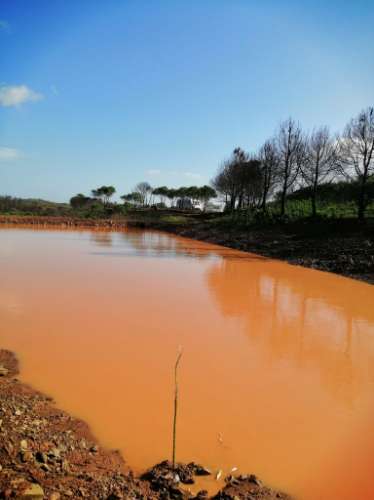 TERRENO MISTO COM 71.000 M2 - COM RUINA - POÇO - LAGO - VISTA MAR - POSSIBILIDADE DE CONSTRUÇÃO - HABITAÇÃO E/OU TURISMO - CHAMPANA - TAVIRA - ALGARVE